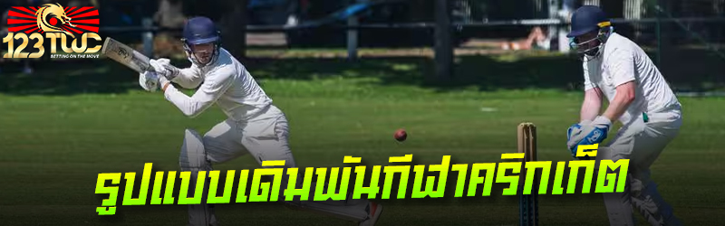 รูปแบบเดิมพันกีฬาคริกเก็ต